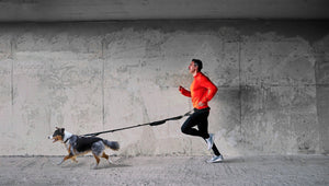 FITLY RUNNING BELT + DOG LEASH